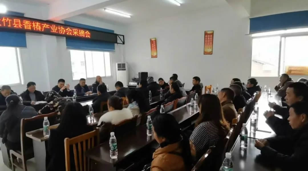 大竹香椿产业协会针对采收工作会议